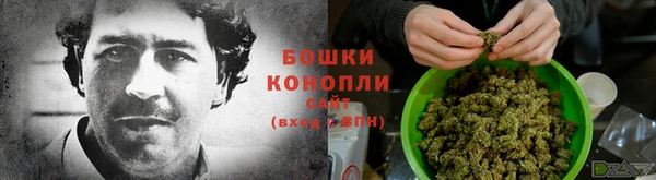 индика Богородск