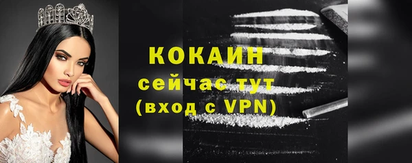 шишки Богданович