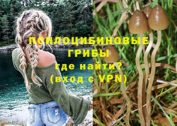 эйфоретик Бородино