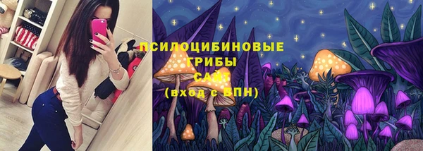 шишки Богданович