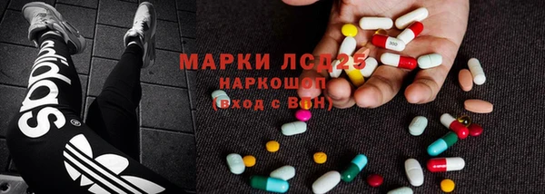 эйфоретик Бородино