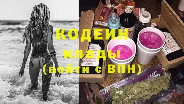 твердый Анива