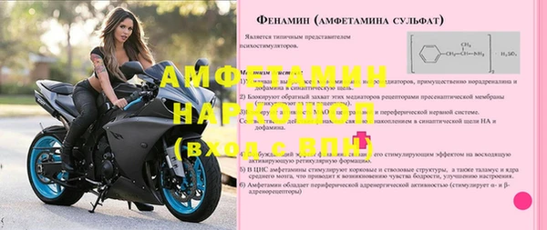 индика Богородск