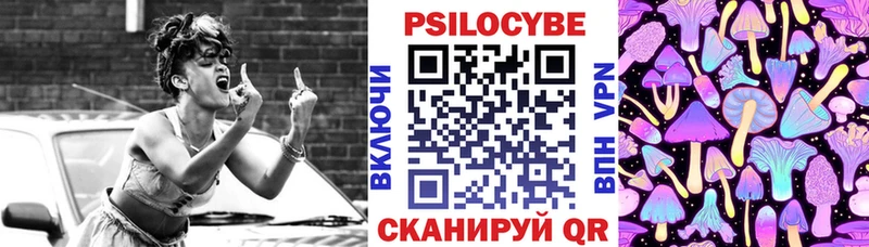 Псилоцибиновые грибы Psilocybine cubensis  Верхняя Пышма 